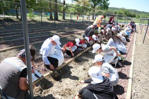 Minik Eller Hobi Bahçesi’nde fideler toprakla buluştu