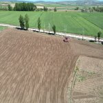 Çorum Belediyesi, Ayçiçeği ekimine başladı