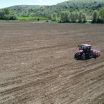 Çorum Belediyesi, Ayçiçeği ekimine başladı