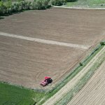 Çorum Belediyesi, Ayçiçeği ekimine başladı