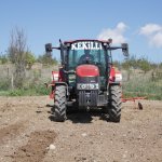 Çorum Belediyesi, Ayçiçeği ekimine başladı