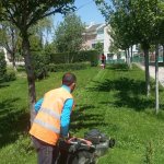 Çorum, Gül Bahçesine Dönüyor