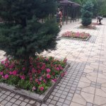 Çorum, Gül Bahçesine Dönüyor