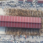 Hayvan Pazarında Bayram Mesaisi Başladı