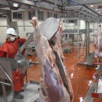 Kurban Kesim Yerleri Belirlendi