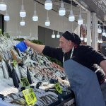 Balıkçılar yeni yerinde