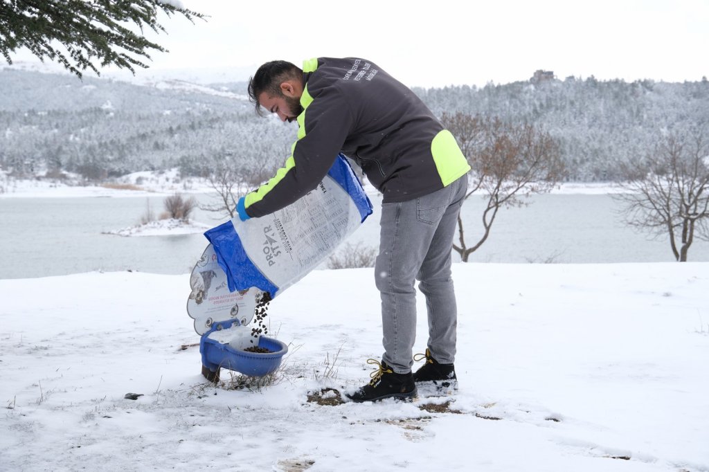 Çorum Belediyesi doğadaki canlıları unutmuyor 