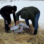 Çorum Belediyesi doğadaki canlıları unutmuyor 