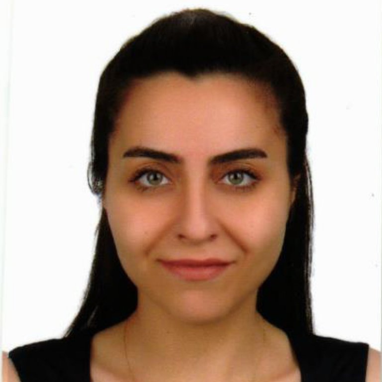 Didem Tokgöz
