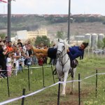 Uluslararası Atçılık Festivali Başladı