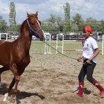 Uluslararası Atçılık Festivali Başladı