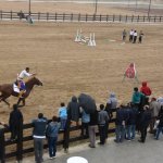 Uluslararası Atçılık Festivali Çorum’da 