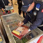 Zabıtadan 6 ayda 294 bin TL ceza