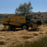 80 Dönümlük Buğday Tarlasında Hasat Başladı