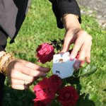 Yaprak Bitine Karşı Biyolojik Mücadele