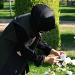 Yaprak Bitine Karşı Biyolojik Mücadele