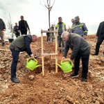 Nadık Şehir Ormanı’nda İlk Ağaçlar Toprakla Buluştu