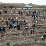 Nadık Şehir Ormanı’nda İlk Ağaçlar Toprakla Buluştu