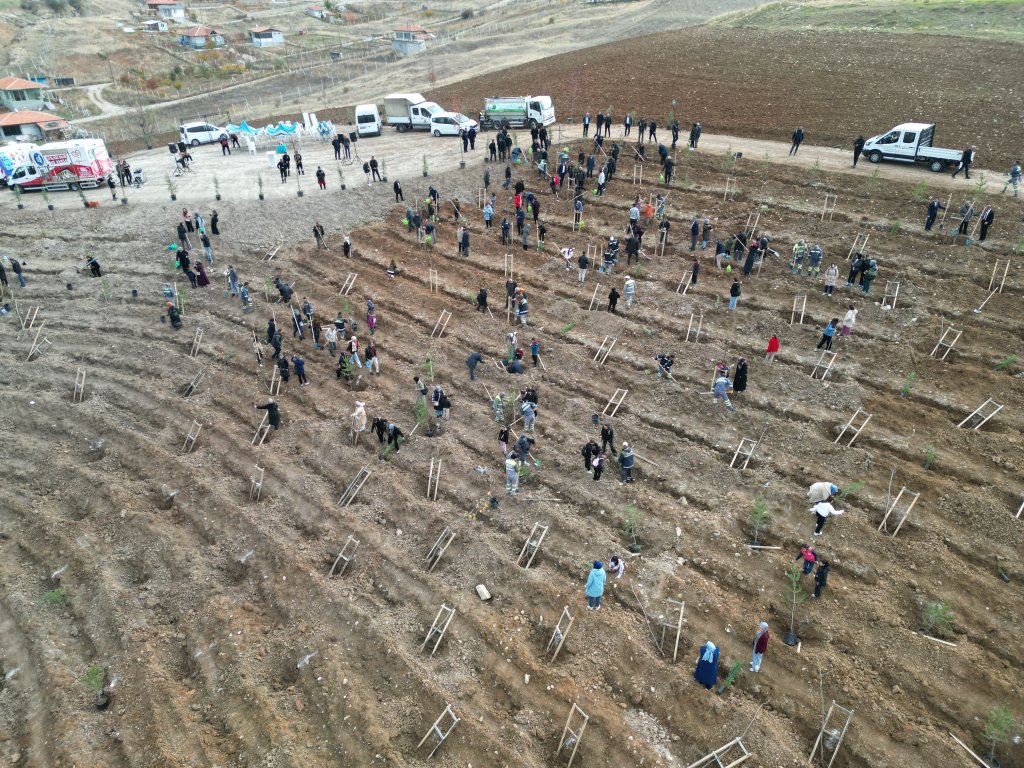 Nadık Şehir Ormanı’nda İlk Ağaçlar Toprakla Buluştu