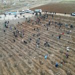 Nadık Şehir Ormanı’nda İlk Ağaçlar Toprakla Buluştu