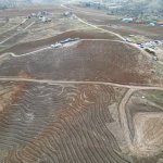 Nadık Şehir Ormanı’nda İlk Ağaçlar Toprakla Buluştu