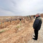 Nadık Şehir Ormanı’nda İlk Ağaçlar Toprakla Buluştu