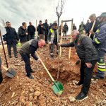 Nadık Şehir Ormanı’nda İlk Ağaçlar Toprakla Buluştu