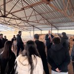 Üniversiteli Gençler Ortaköy’ü Gezdi