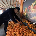 Çorum Belediyesi’nden manavlara sıkı denetim