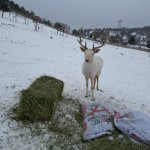 Çocuklar doğaya sevgilerini bıraktı