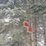 Çocuklar doğaya sevgilerini bıraktı