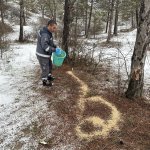 Çorum Belediyesi Soğuk Kış Günlerinde Yaban Hayvanlarını Unutmadı
