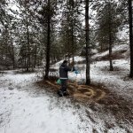 Çorum Belediyesi Soğuk Kış Günlerinde Yaban Hayvanlarını Unutmadı