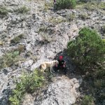 İtfaiye 2025’te 922 yangına müdahale etti