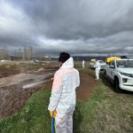 Çorum Belediyesi’nden Yaz Öncesi Yoğun Vektörle Mücadele