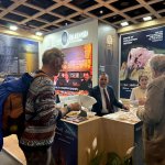 Çorum Belediyesi, Berlin Fuarında Yerini Aldı