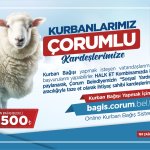 “Kurbanlarımız Çorumlu Kardeşlerimize” Kampanyası Sürüyor