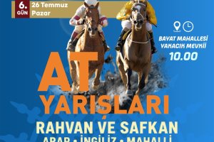 AT YARIŞLARI