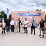 ÇOBAN KÖPEKLERİ GÖRÜCÜYE ÇIKTI