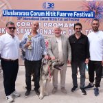 ÇOBAN KÖPEKLERİ GÖRÜCÜYE ÇIKTI