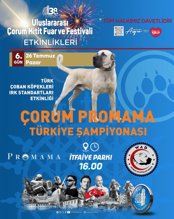 ÇORUM PROMAMA TÜRKİYE YARIŞMASI